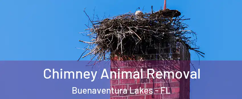  Chimney Animal Removal Buenaventura Lakes - FL