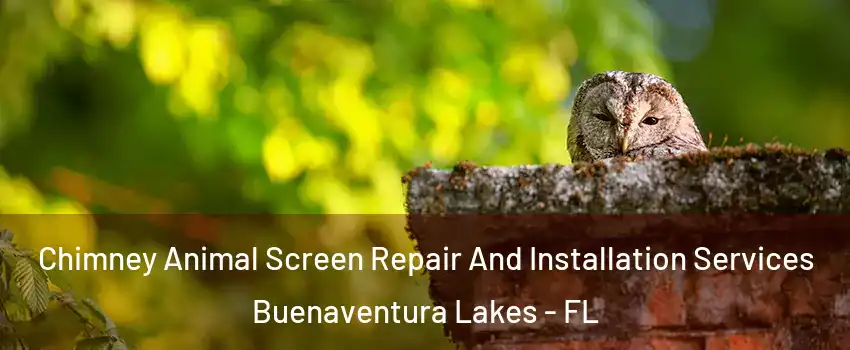  Chimney Animal Screen Repair And Installation Services Buenaventura Lakes - FL