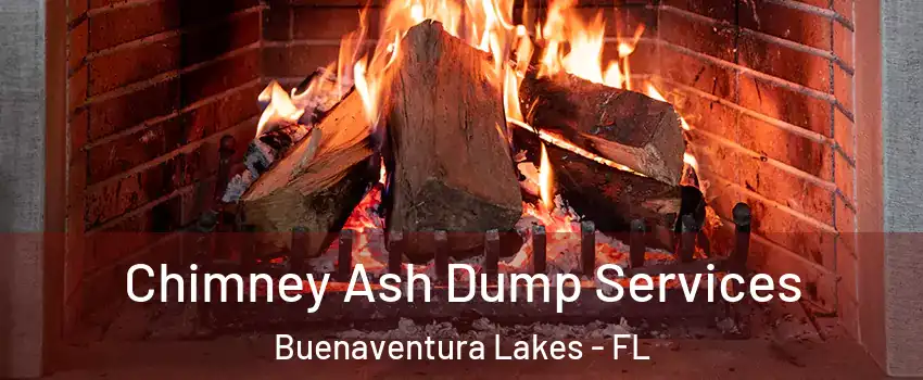  Chimney Ash Dump Services Buenaventura Lakes - FL