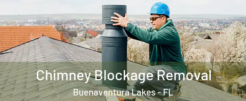  Chimney Blockage Removal Buenaventura Lakes - FL