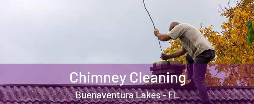  Chimney Cleaning Buenaventura Lakes - FL