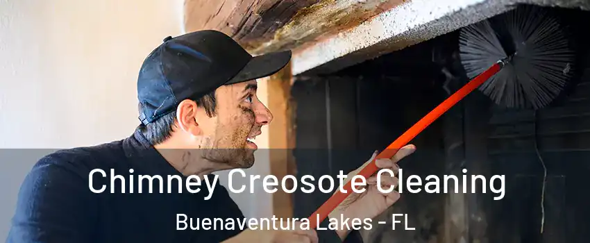  Chimney Creosote Cleaning Buenaventura Lakes - FL