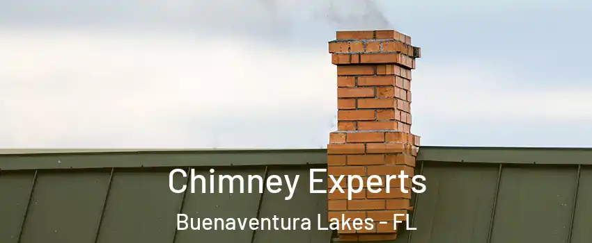  Chimney Experts Buenaventura Lakes - FL