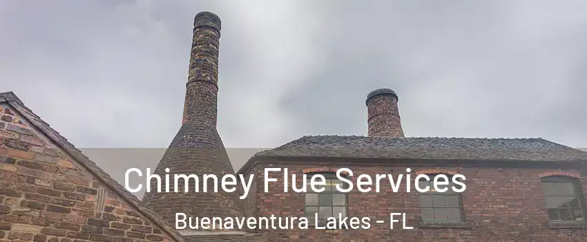  Chimney Flue Services Buenaventura Lakes - FL