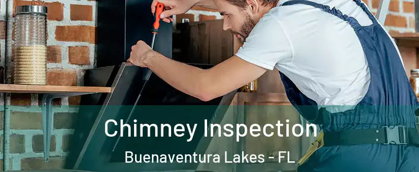  Chimney Inspection Buenaventura Lakes - FL