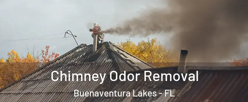  Chimney Odor Removal Buenaventura Lakes - FL