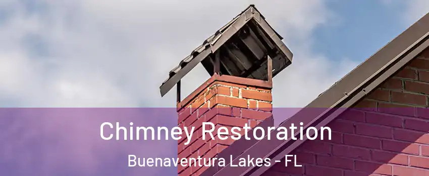 Chimney Restoration Buenaventura Lakes - FL