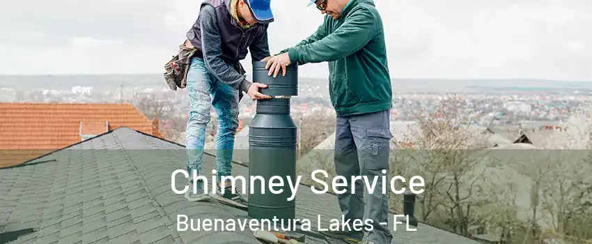  Chimney Service Buenaventura Lakes - FL