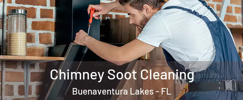  Chimney Soot Cleaning Buenaventura Lakes - FL