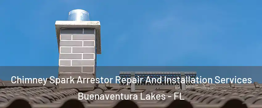  Chimney Spark Arrestor Repair And Installation Services Buenaventura Lakes - FL