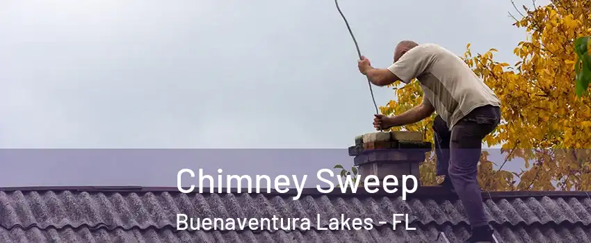  Chimney Sweep Buenaventura Lakes - FL