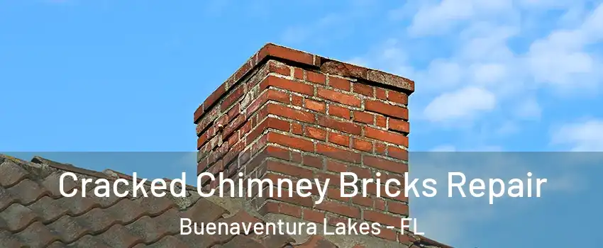  Cracked Chimney Bricks Repair Buenaventura Lakes - FL