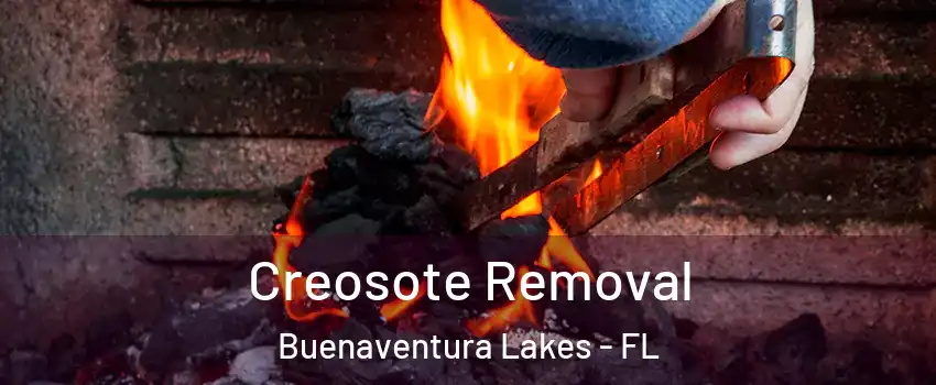  Creosote Removal Buenaventura Lakes - FL