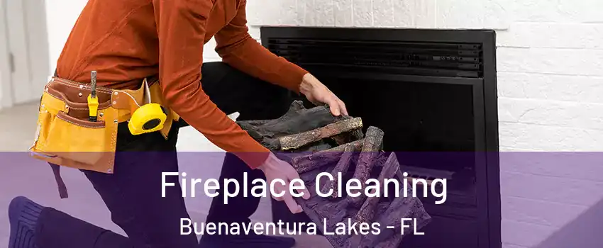  Fireplace Cleaning Buenaventura Lakes - FL