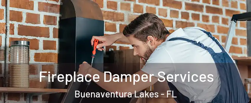  Fireplace Damper Services Buenaventura Lakes - FL