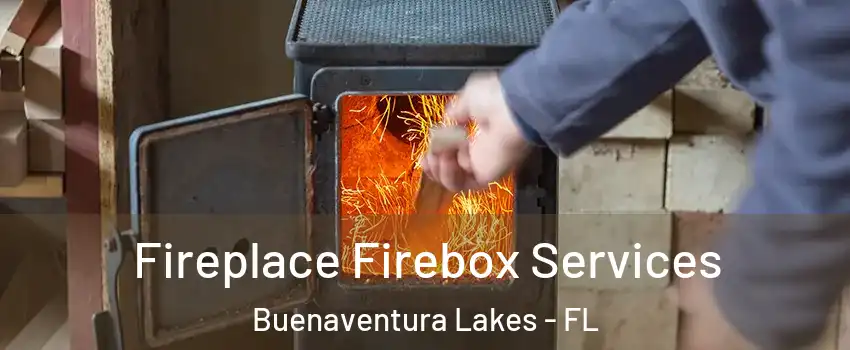  Fireplace Firebox Services Buenaventura Lakes - FL