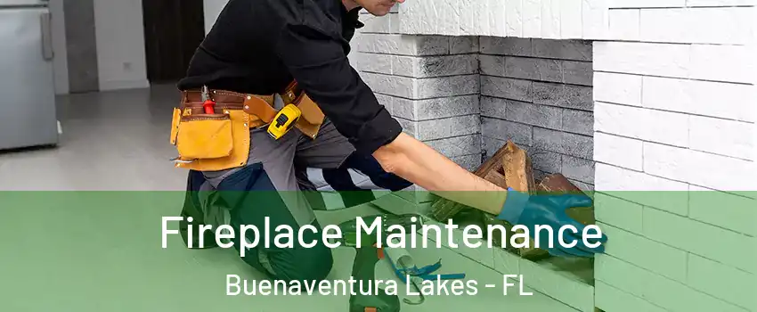  Fireplace Maintenance Buenaventura Lakes - FL