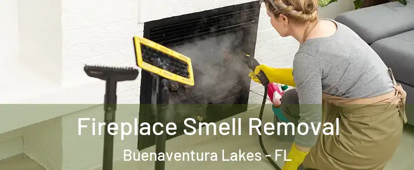  Fireplace Smell Removal Buenaventura Lakes - FL