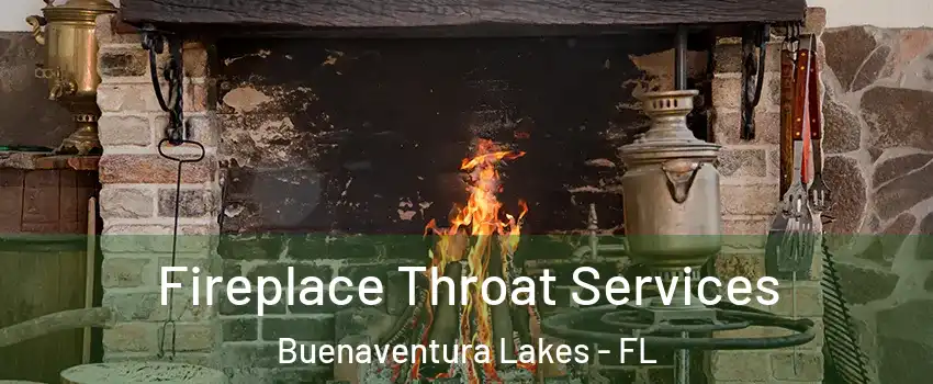  Fireplace Throat Services Buenaventura Lakes - FL