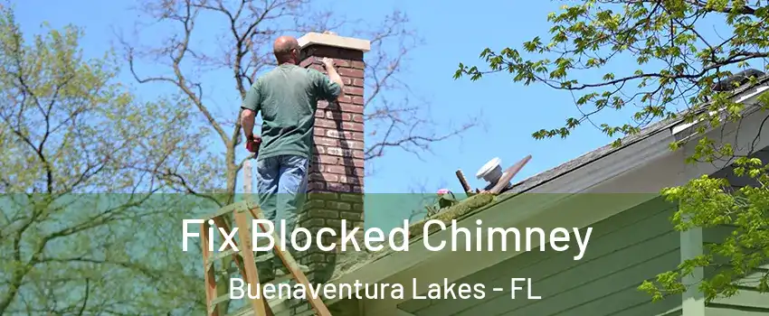  Fix Blocked Chimney Buenaventura Lakes - FL