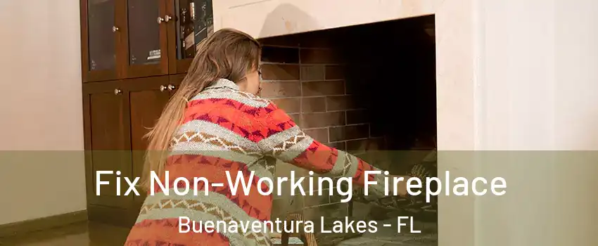  Fix Non-Working Fireplace Buenaventura Lakes - FL