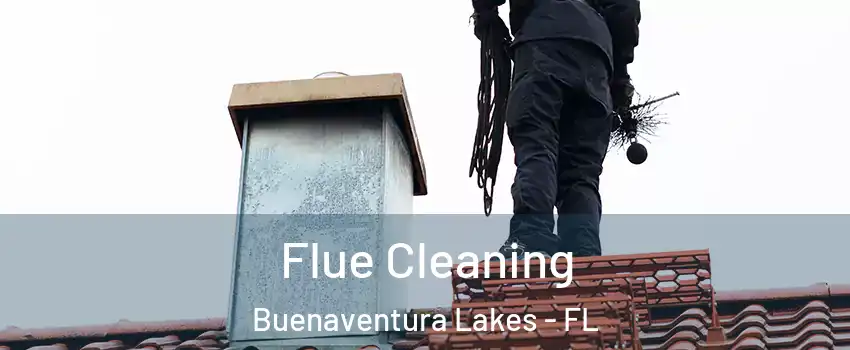  Flue Cleaning Buenaventura Lakes - FL