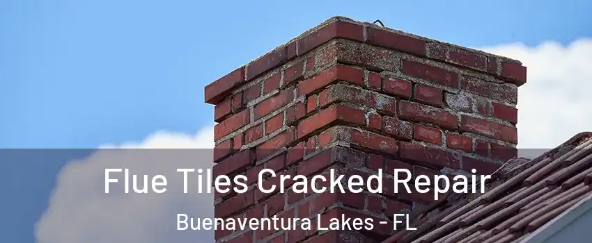  Flue Tiles Cracked Repair Buenaventura Lakes - FL