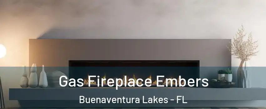  Gas Fireplace Embers Buenaventura Lakes - FL