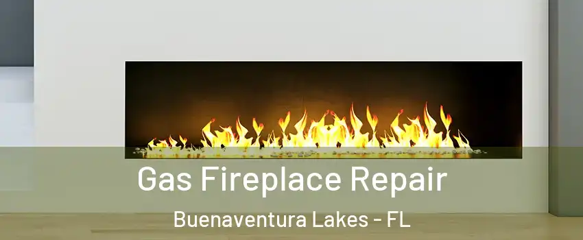  Gas Fireplace Repair Buenaventura Lakes - FL