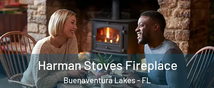  Harman Stoves Fireplace Buenaventura Lakes - FL