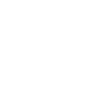 Professional Chimney Flue Installation in Buenaventura Lakes, Florida