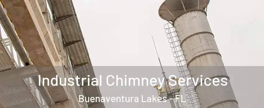  Industrial Chimney Services Buenaventura Lakes - FL
