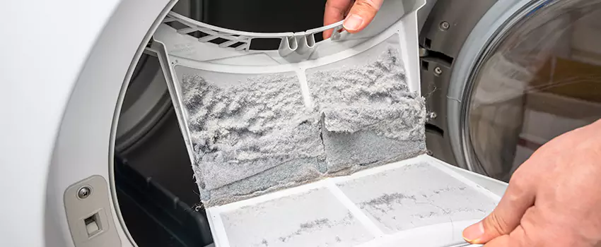 Best Dryer Lint Removal Company in Buenaventura Lakes, Florida