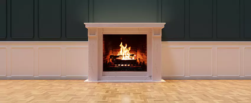 Napoleon Electric Fireplaces Inspection Service in Buenaventura Lakes, Florida