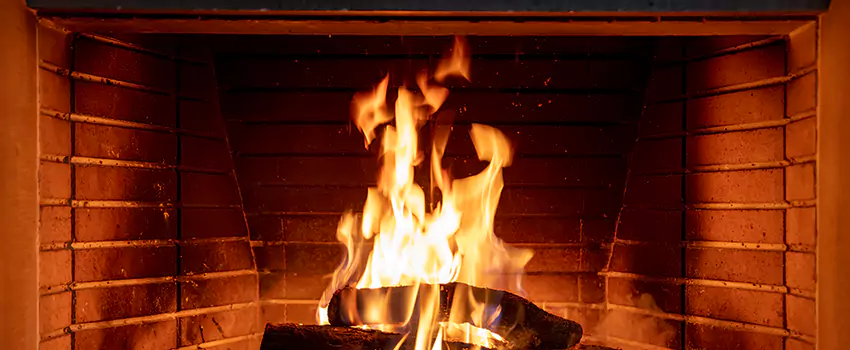 Soot Cleanup Services in Buenaventura Lakes, FL