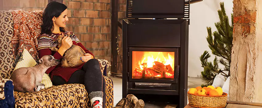 Wood Stove Chimney Cleaning Services in Buenaventura Lakes, FL