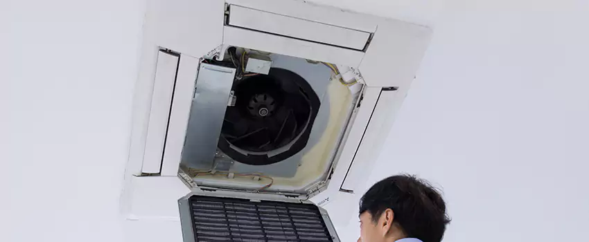 Benefits of Professional Air Duct Cleaning in Buenaventura Lakes, Florida
