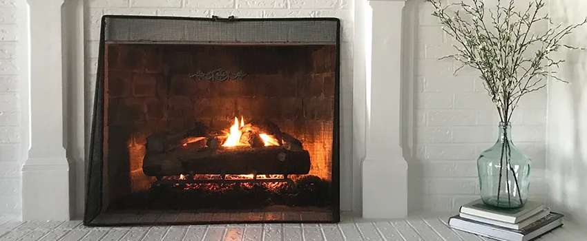 Cost-Effective Fireplace Mantel Inspection And Maintenance in Buenaventura Lakes, FL