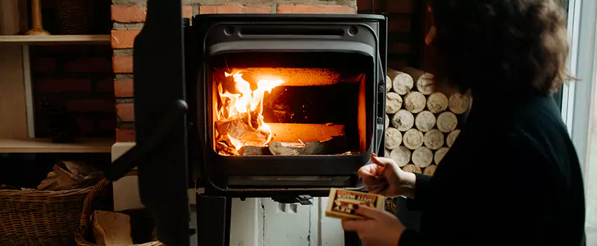 Hearthstone Wood Stoves Fireplace Repair in Buenaventura Lakes, Florida