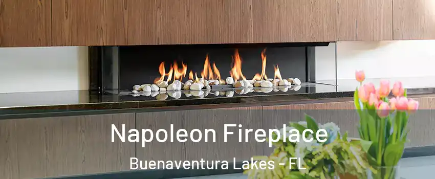  Napoleon Fireplace Buenaventura Lakes - FL