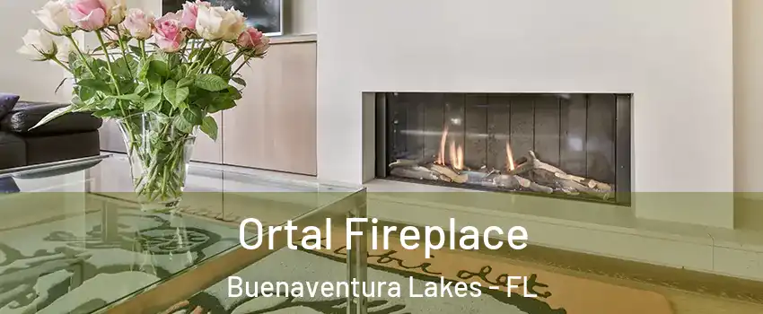  Ortal Fireplace Buenaventura Lakes - FL