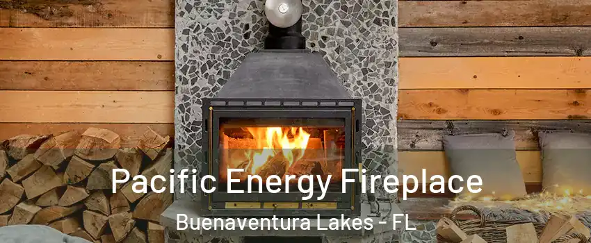  Pacific Energy Fireplace Buenaventura Lakes - FL