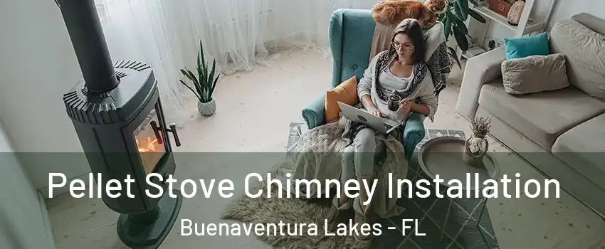  Pellet Stove Chimney Installation Buenaventura Lakes - FL