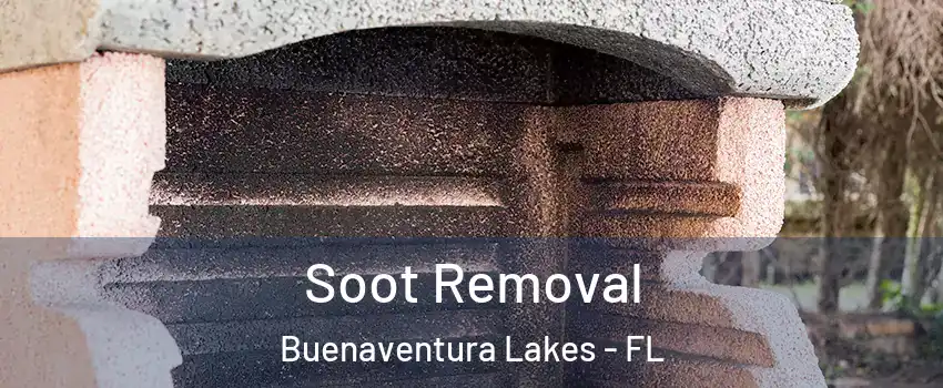  Soot Removal Buenaventura Lakes - FL