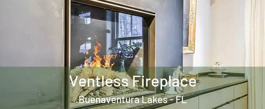  Ventless Fireplace Buenaventura Lakes - FL