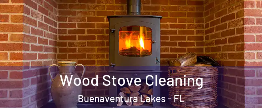  Wood Stove Cleaning Buenaventura Lakes - FL