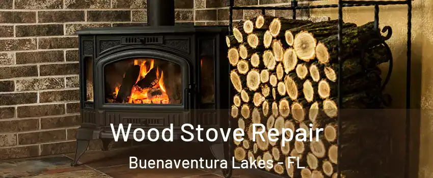  Wood Stove Repair Buenaventura Lakes - FL